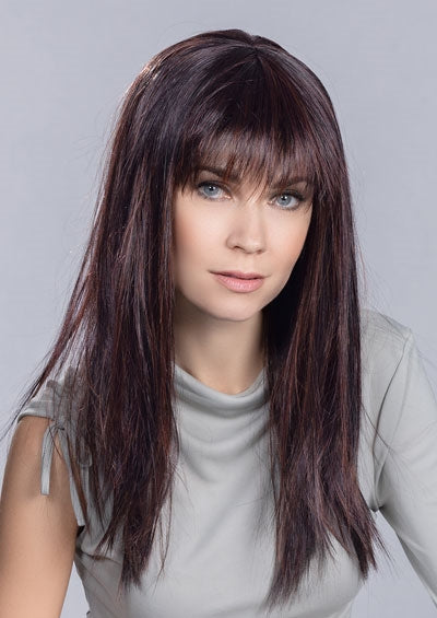 CHER Long Straight Wig
