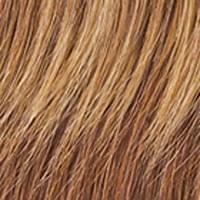 10PC STRAIGHT HUMAN HAIR EXTENSION KIT.