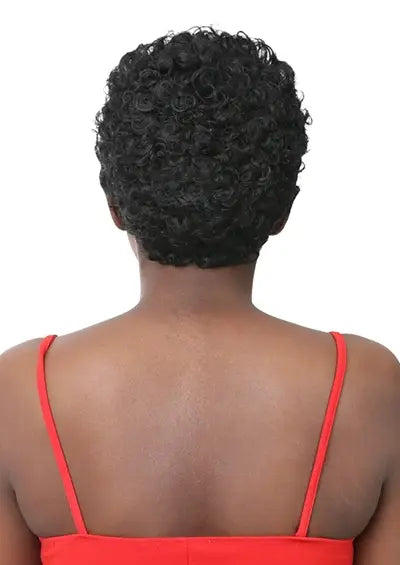 ALISSON [Full Wig | Glueless Lace | Iron Friendly Fiber].