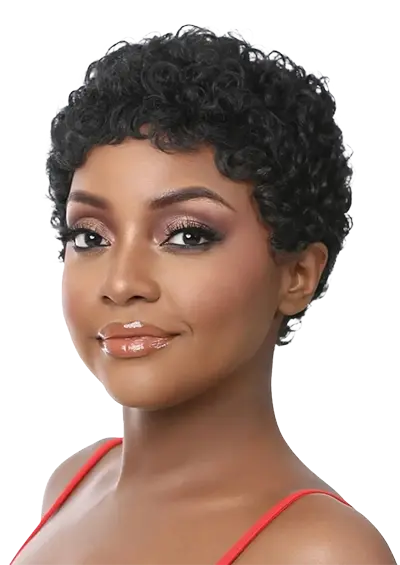 ALISSON [Full Wig | Glueless Lace | Iron Friendly Fiber].