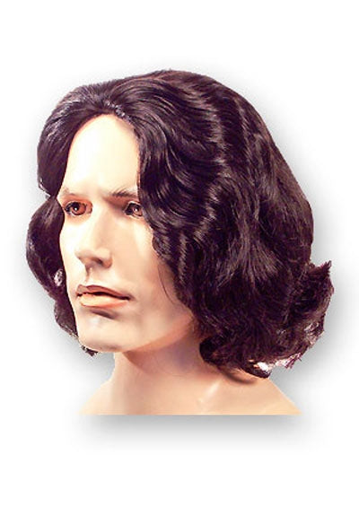 Beethoven [Full Wig | Costume Wig | Synthetic]