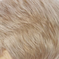 BILLIE [Full Wig | Pure Stretch Cap | Synthetic]
