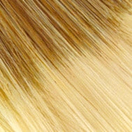 SKY [Full Wig | Front Lace Line | Lace Part | Synthetic]