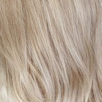 SAGE [Full Wig | Front Lace Line | Lace Part | Synthetic]