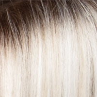 SAGE [Full Wig | Front Lace Line | Lace Part | Synthetic]