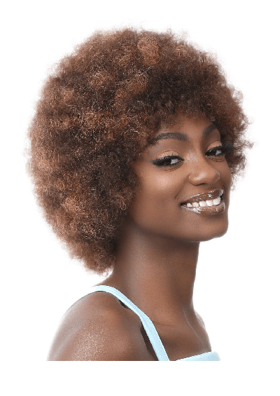 HH AFRO WIG 2 [Full Wig | Glueless Lace | 100% Human Hair]