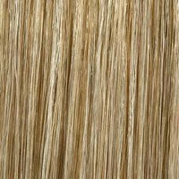 SYDNEY [Full Wig | Monofilament Top with Lace Front | Premium Synthetic]