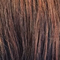 HH BRITNEY [Full Wig | Cap Weave | 100% Human Hair]
