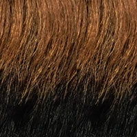 HH ECHO [Full Wig | Cap Weave | 100% Human Hair]
