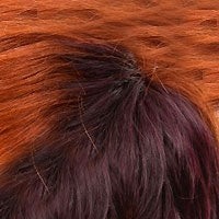 HH TISA [Full Wig | 100% Human Hair]