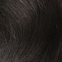 PAULINA [Full Wig | Capless | Synthetic]
