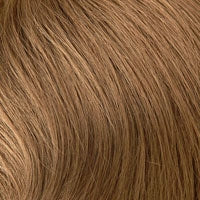 JANICE [Full Wig | Crystal Net | Mono Top | Synthetic]